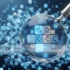 How to Choose Meta Keywords for SEO